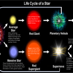 Star life cycle graphic organizer