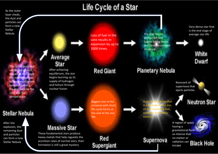 Star life cycle graphic organizer