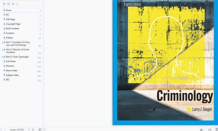 Criminology the core 8th edition