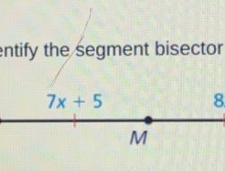 Bisector identify segment