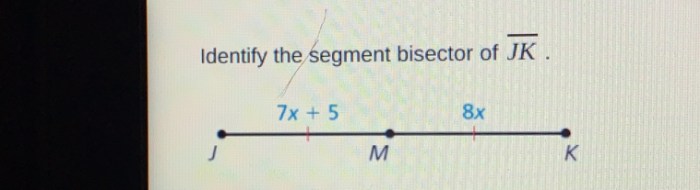 Bisector identify segment