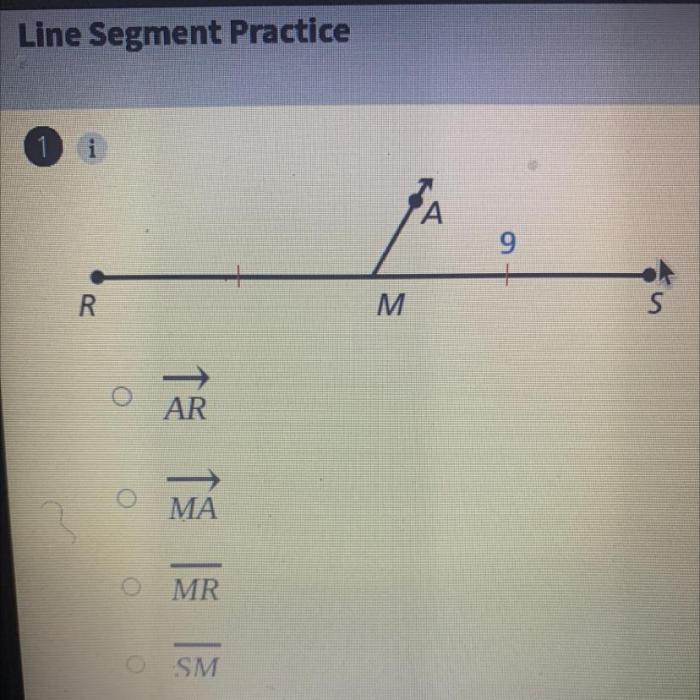 Identify the segment bisector of jk