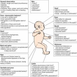 Vati maternal newborn assessment 2020