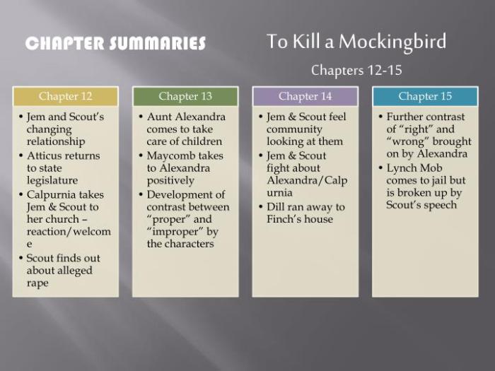 Chapter 20 summary of to kill a mockingbird